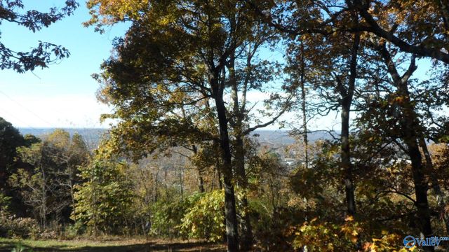 2612 Aberdeen Lane NE, Fort Payne, AL 35967