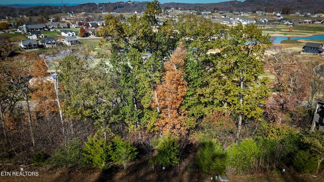 585 Black Cove Lane, Loudon, TN 37774