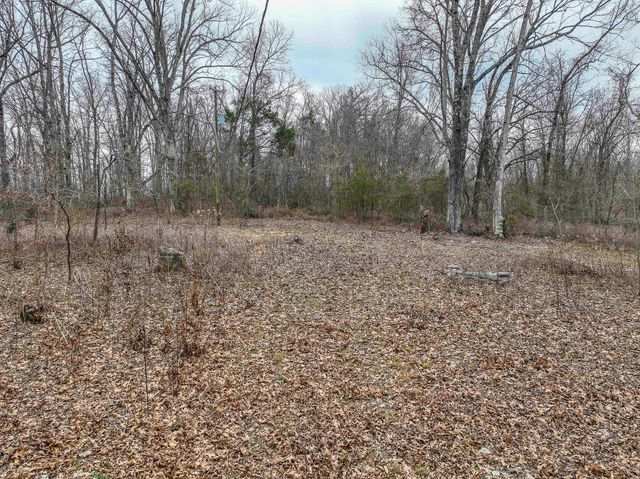 42 Pacific Drive, Crane, MO 65633