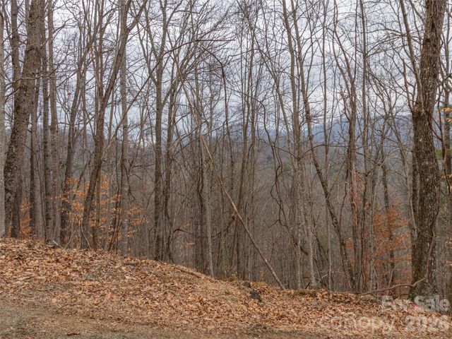 189 Sandys Home Place Lot 7B, Mars Hill, NC 28754