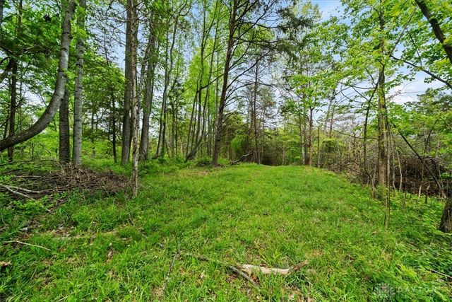 1393 Dutch Thomas Road, Peebles, OH 45660