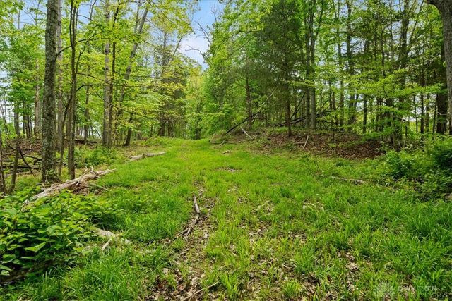 1393 Dutch Thomas Road, Peebles, OH 45660