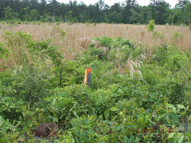 00 Oak Ridge Church Road, Kershaw, SC 29067