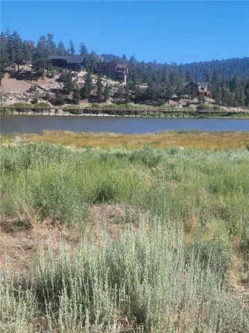 38 North Shore, Big Bear City, CA 92314