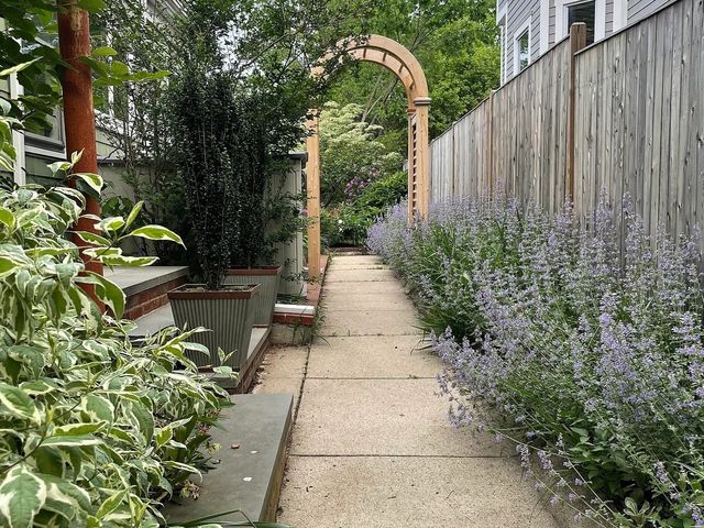 38 Harvard Street 2, Somerville, MA 02143