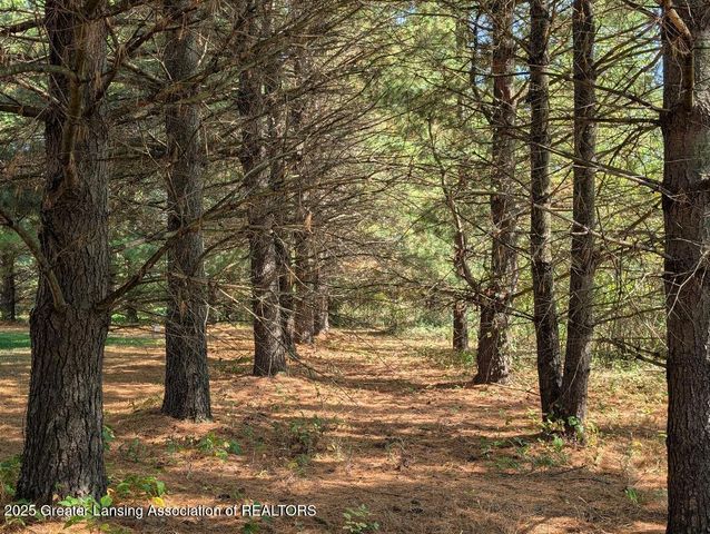 2612 S Ainger Road, Charlotte, MI 48813