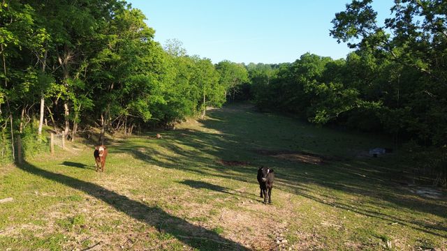 1820 New Hwy 7, Columbia, TN 38401