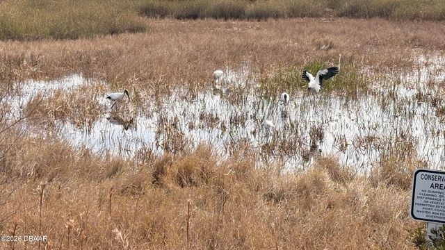 234 Summertime Place, Daytona Beach, FL 32124