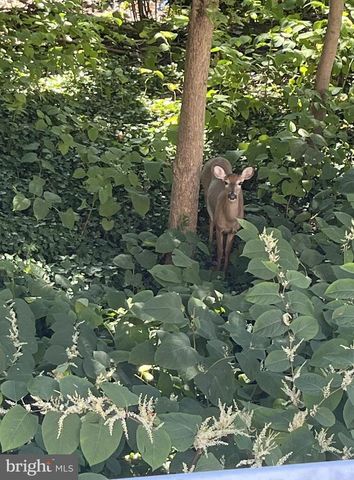 21 FARADAY CT, Morton, PA 19070