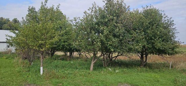 11314 County Road 31 SE, Osakis, MN 56360