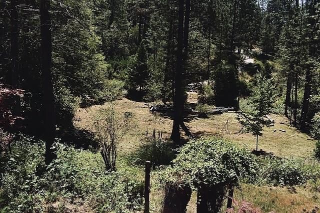 26650 Old Loggers Ln, Colfax, CA 95713