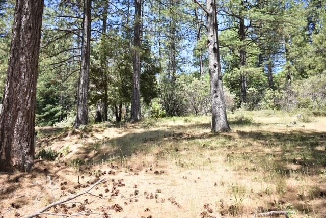 26650 Old Loggers Ln, Colfax, CA 95713
