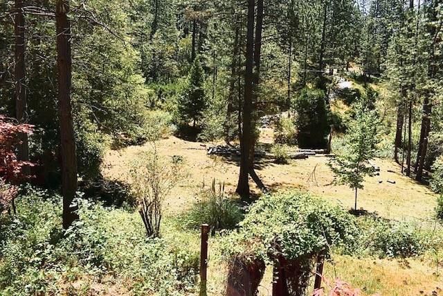 26650 Old Loggers Ln, Colfax, CA 95713