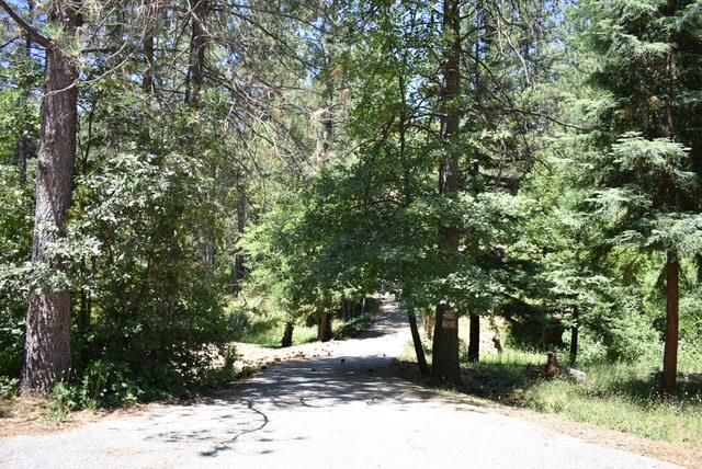 26650 Old Loggers Ln, Colfax, CA 95713
