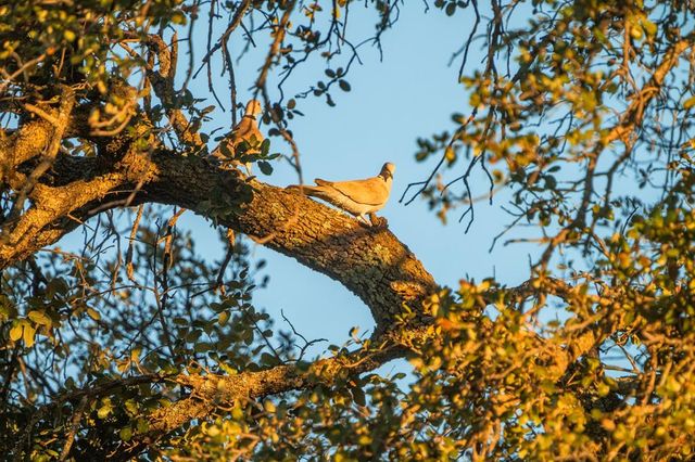 2799 Ridge Lane Rd, Christoval, TX 76935