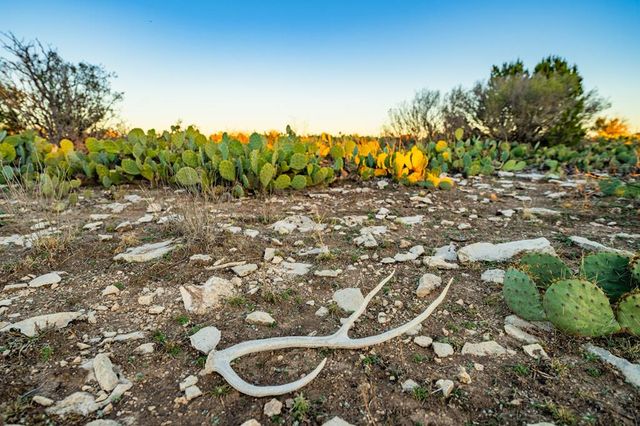 2799 Ridge Lane Rd, Christoval, TX 76935