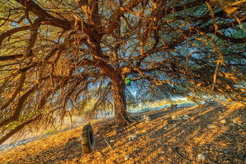 Image 16 of property listing at 2799 Ridge Lane Road, Christoval, TX 76935