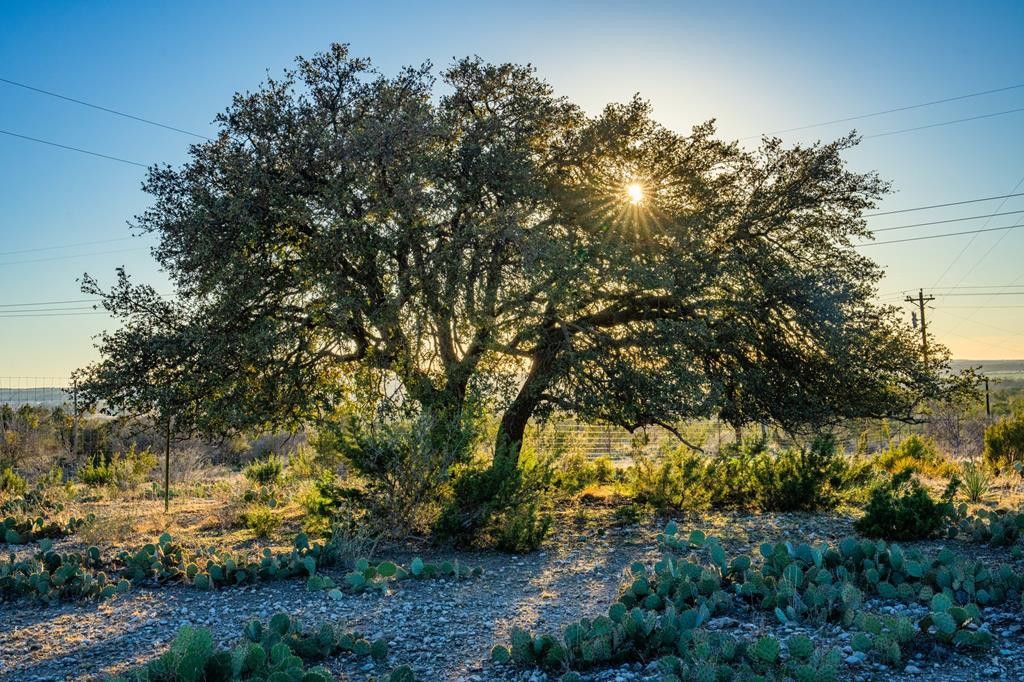 Image 51 of property listing at 2799 Ridge Lane Road, Christoval, TX 76935