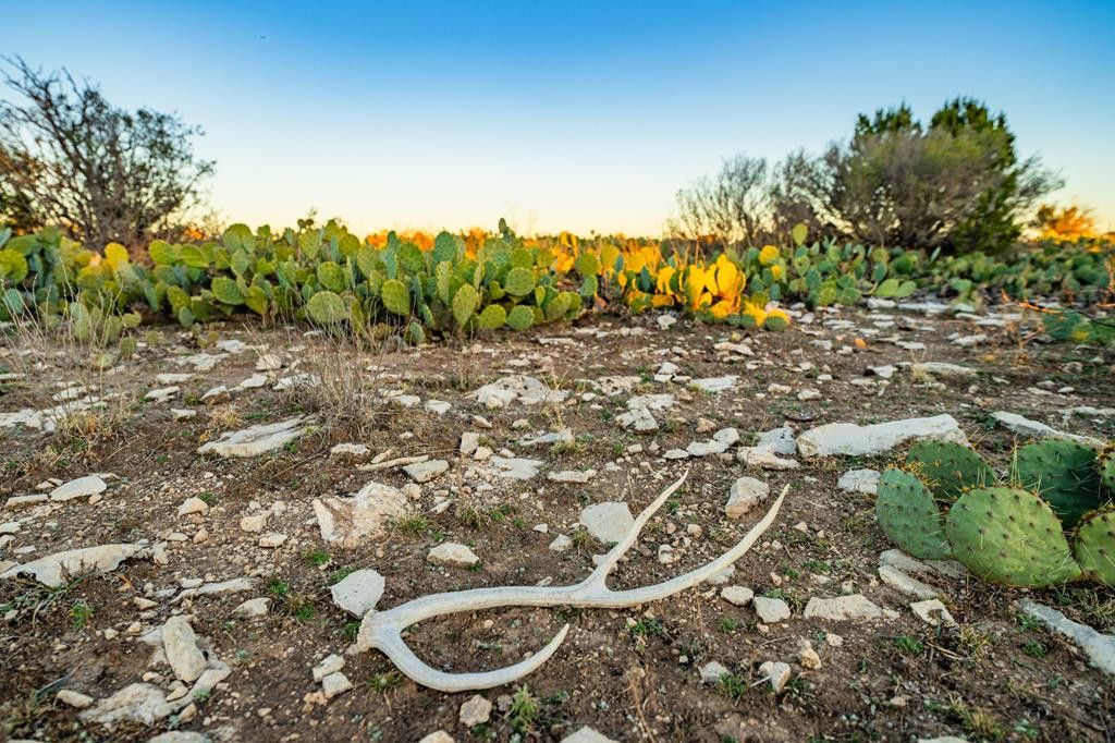 Image 58 of property listing at 2799 Ridge Lane Road, Christoval, TX 76935