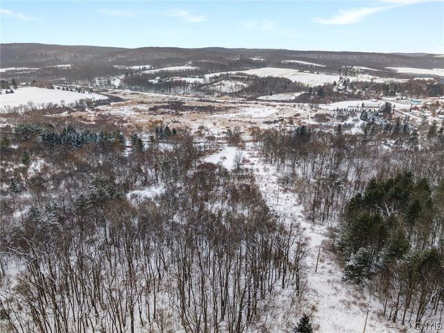 55 Clinton Street, Tully, NY 13159