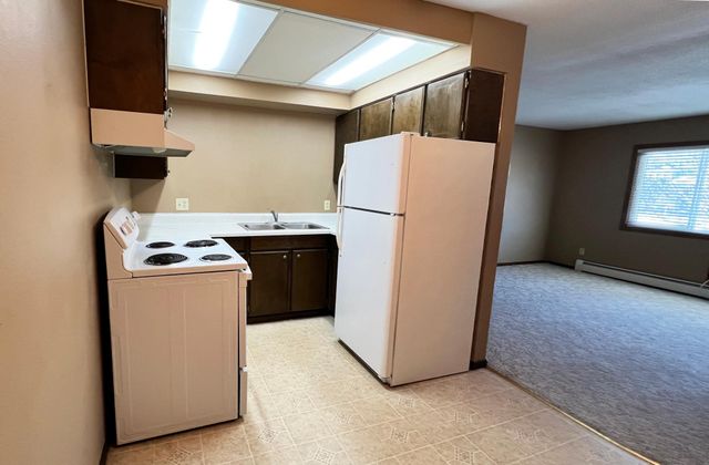 1221 Madison Avenue 215, Detroit Lakes, MN 56501