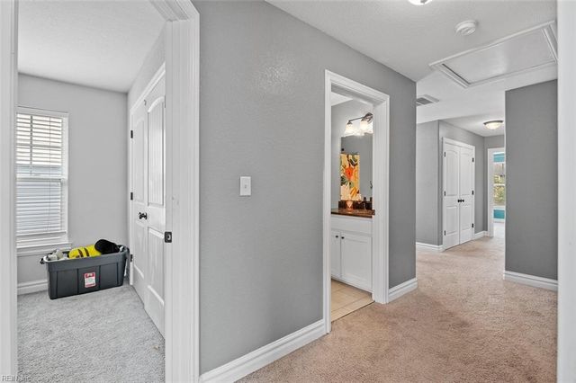 1442 Chesapeake AVE, Chesapeake, VA 23324