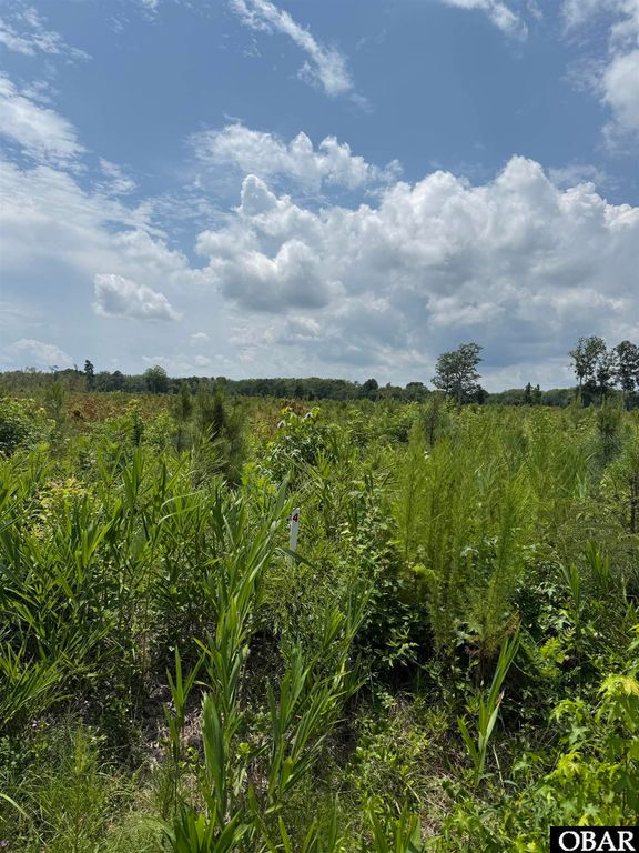 TBD Cove Road Lot #4, New Hope, NC 27944