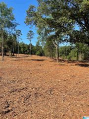0 IRONATON ROAD, Talladega, AL 35160
