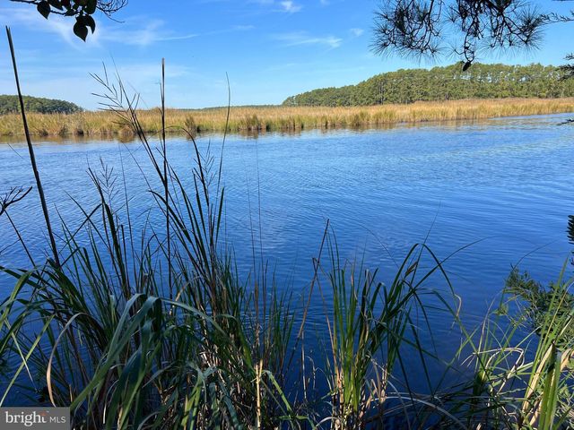 26297 PITTS CREEK RD, New Church, VA 23415