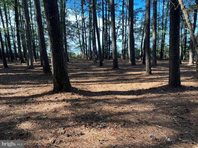 26297 PITTS CREEK RD, New Church, VA 23415