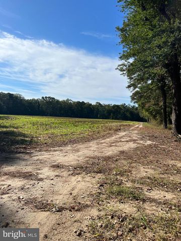 26297 PITTS CREEK RD, New Church, VA 23415