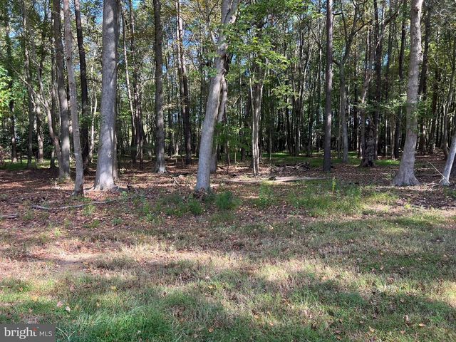 26297 PITTS CREEK RD, New Church, VA 23415