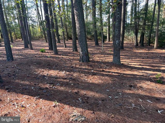 26297 PITTS CREEK RD, New Church, VA 23415