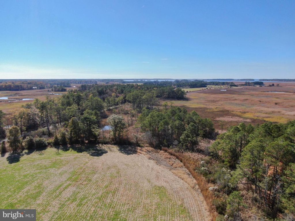 Image 13 of property listing at 26297 PITTS CREEK RD, New Church, VA 23415