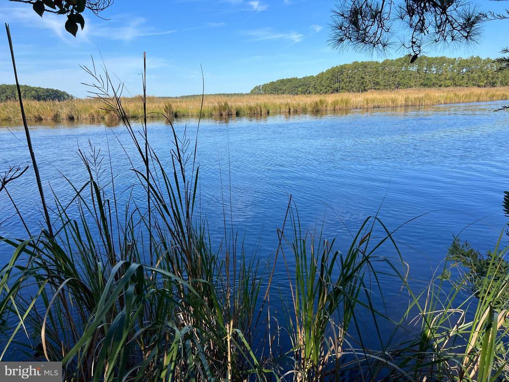 Image 14 of property listing at 26297 PITTS CREEK RD, New Church, VA 23415