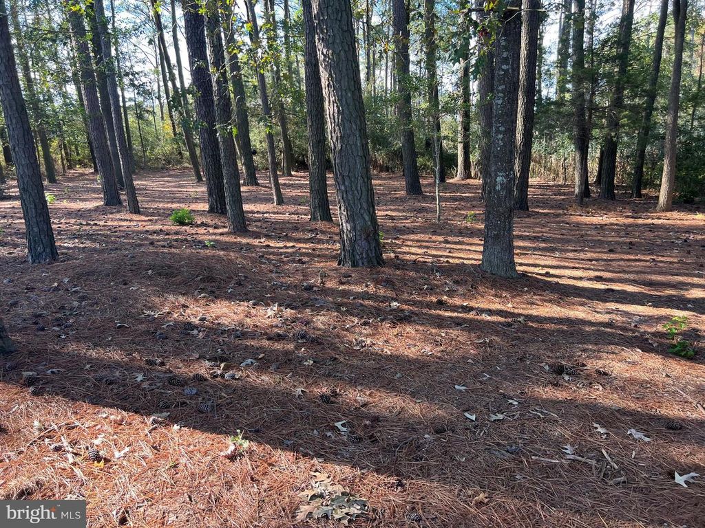 Image 15 of property listing at 26297 PITTS CREEK RD, New Church, VA 23415