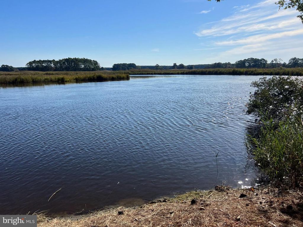 Image 16 of property listing at 26297 PITTS CREEK RD, New Church, VA 23415