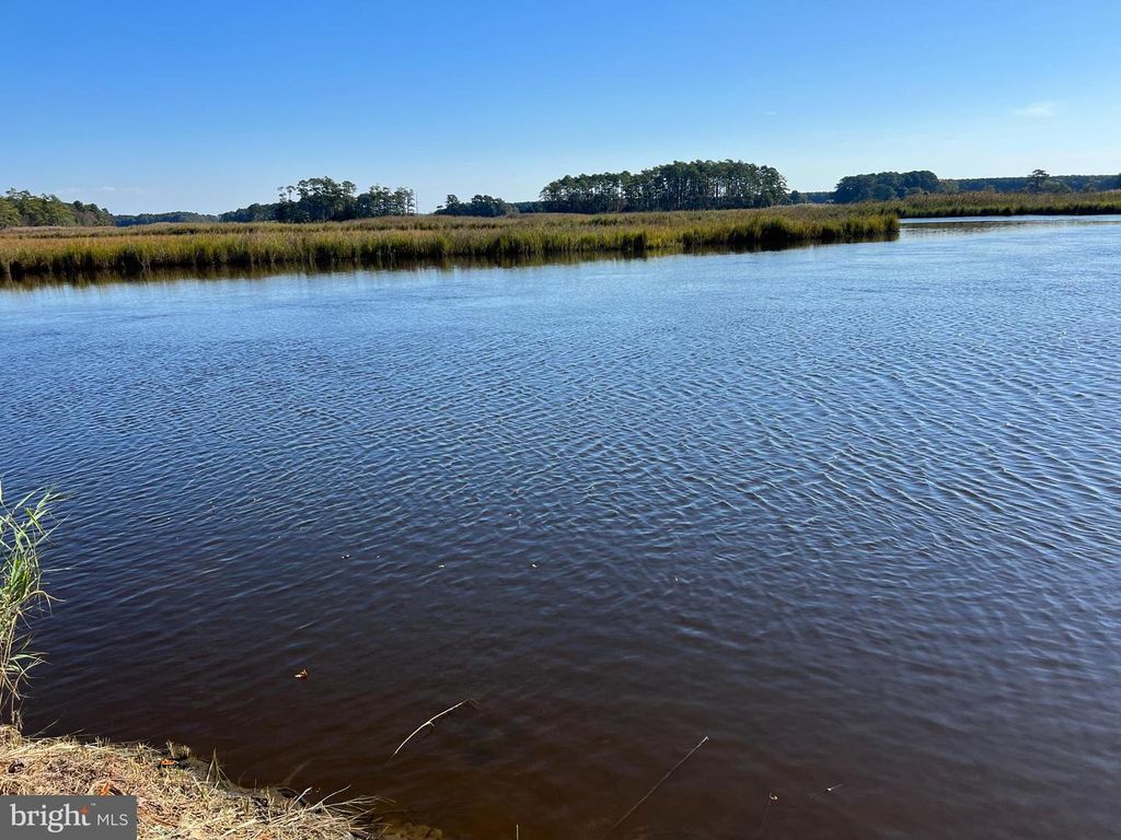 Image 17 of property listing at 26297 PITTS CREEK RD, New Church, VA 23415