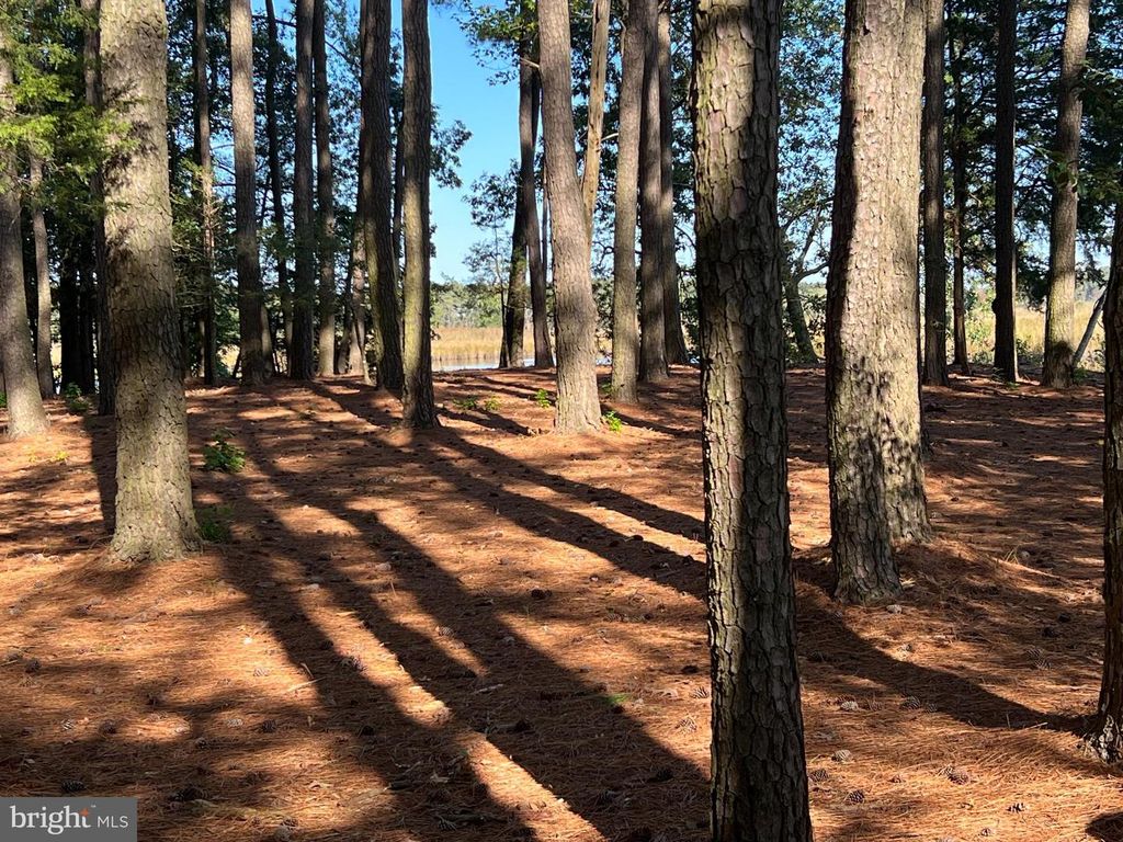 Image 18 of property listing at 26297 PITTS CREEK RD, New Church, VA 23415