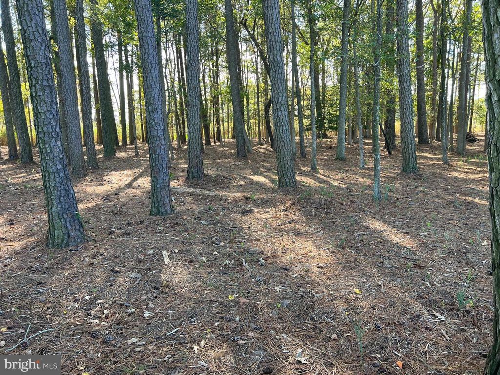 Image 19 of property listing at 26297 PITTS CREEK RD, New Church, VA 23415