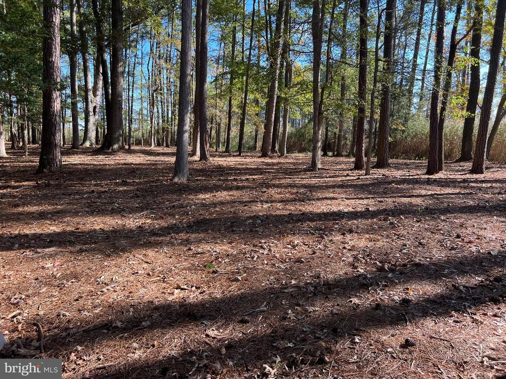 Image 22 of property listing at 26297 PITTS CREEK RD, New Church, VA 23415