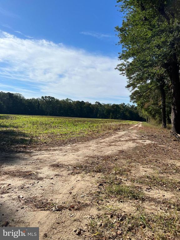 Image 23 of property listing at 26297 PITTS CREEK RD, New Church, VA 23415