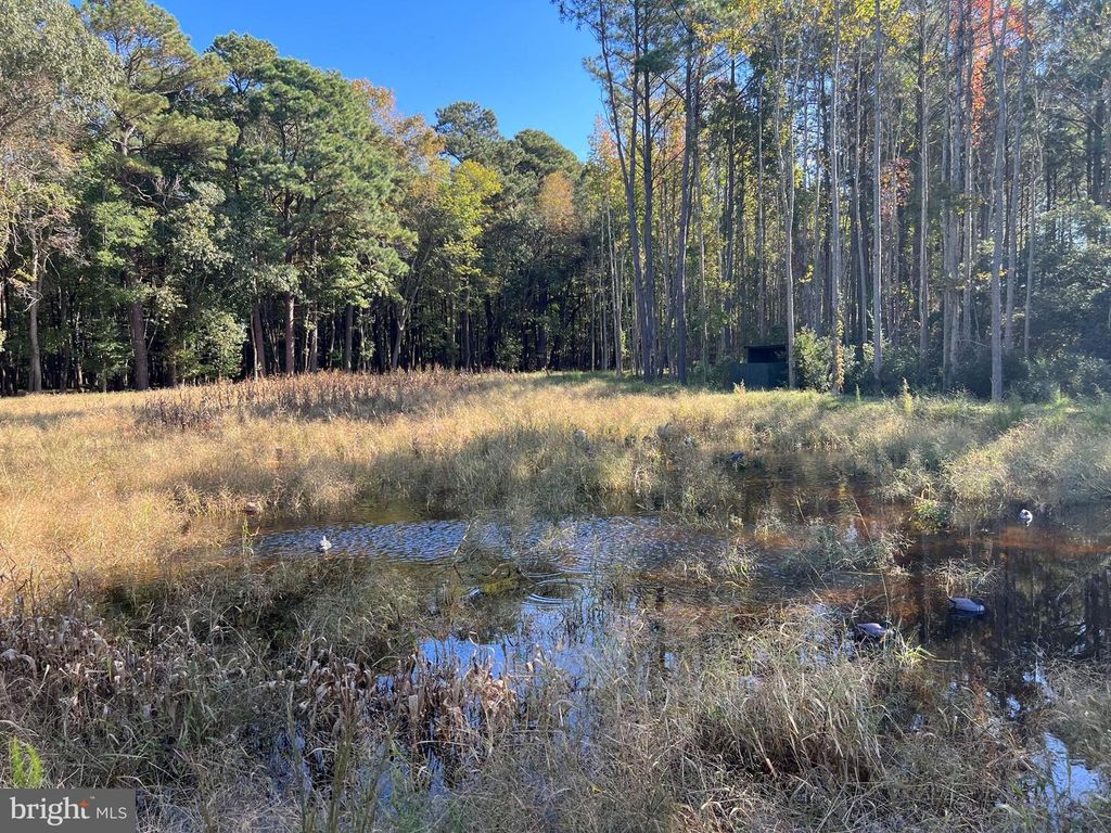 Image 25 of property listing at 26297 PITTS CREEK RD, New Church, VA 23415