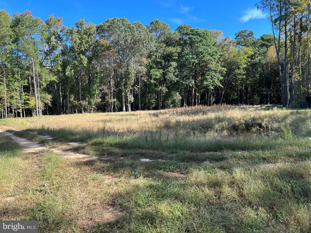 Image 26 of property listing at 26297 PITTS CREEK RD, New Church, VA 23415