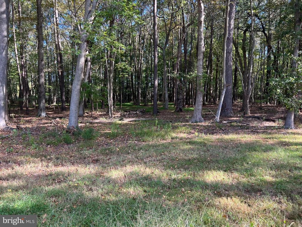 Image 27 of property listing at 26297 PITTS CREEK RD, New Church, VA 23415