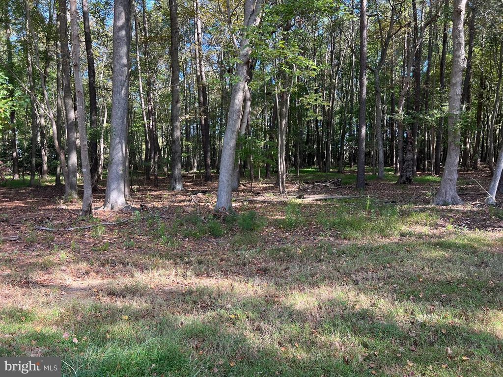 Image 31 of property listing at 26297 PITTS CREEK RD, New Church, VA 23415