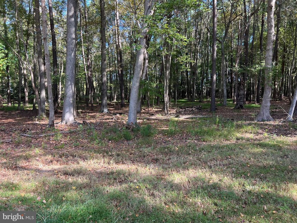 Image 32 of property listing at 26297 PITTS CREEK RD, New Church, VA 23415