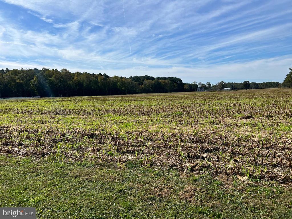 Image 33 of property listing at 26297 PITTS CREEK RD, New Church, VA 23415