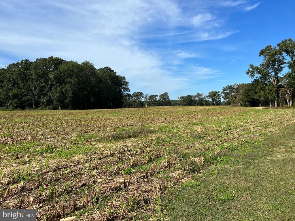 Image 35 of property listing at 26297 PITTS CREEK RD, New Church, VA 23415