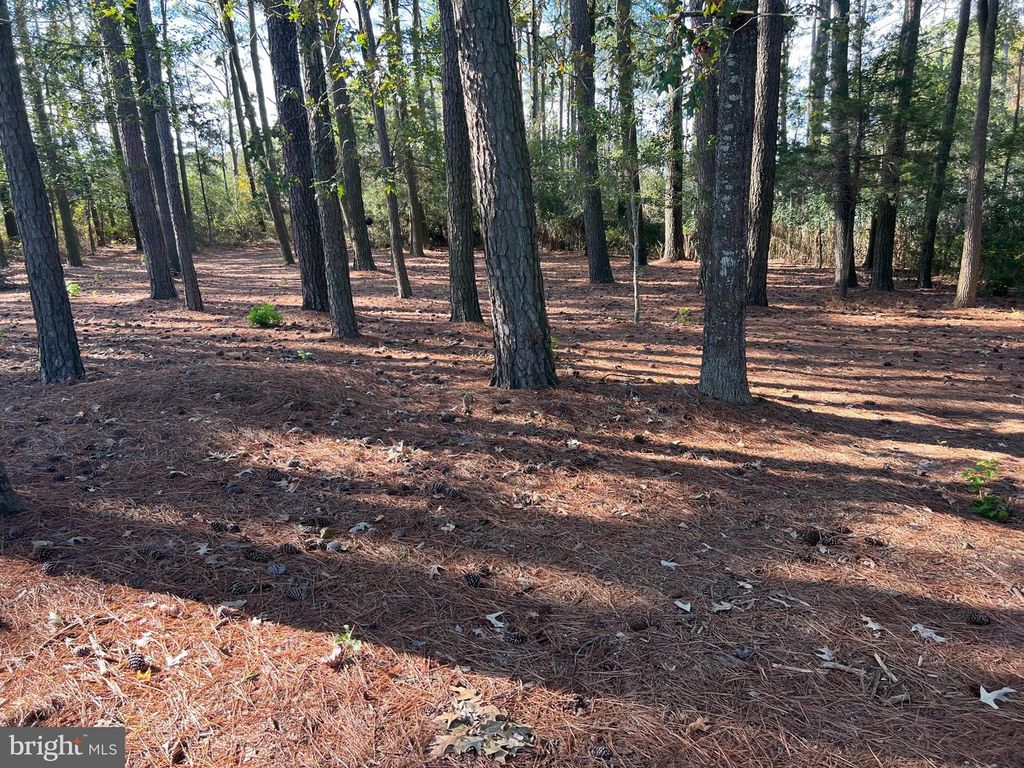 Image 5 of property listing at 26297 PITTS CREEK RD, New Church, VA 23415